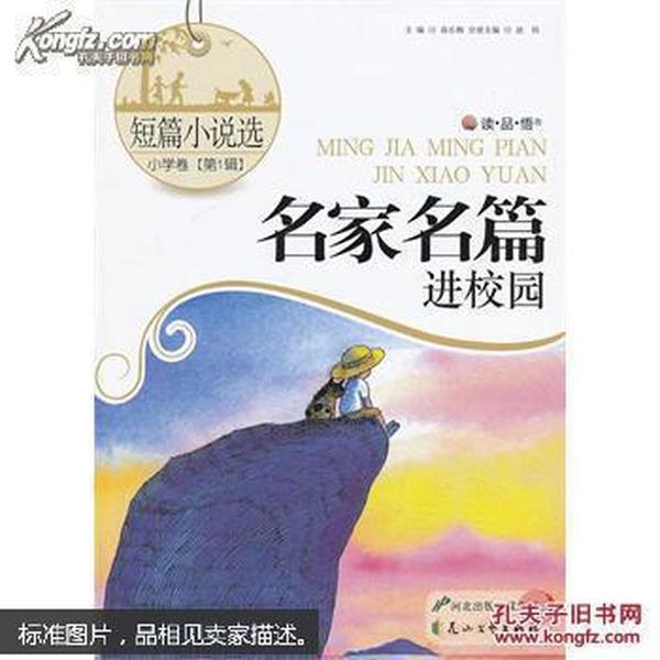 拯救受伤的猫
